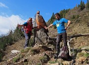 04 All'aquila scolpita su tronco  d'abete radicato